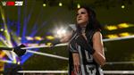 WWE 2K25