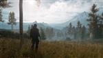 Days Gone
