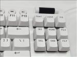 Logitech PRO X TKL RAPID