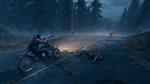 Days Gone