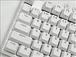 Logitech PRO X TKL RAPID