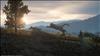 Days Gone